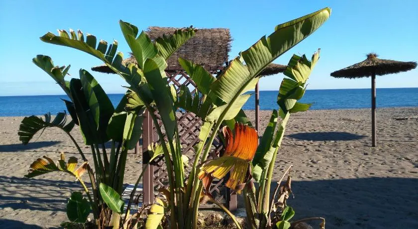 Aloha Paraíso - Image 1