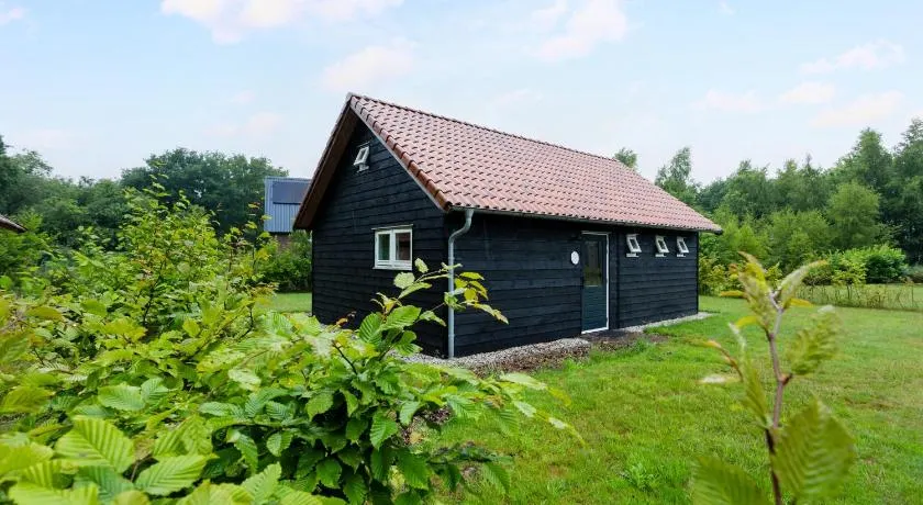 Boshuisje Luna | 4 personen - Vakantiepark De Kremmer - Image 1