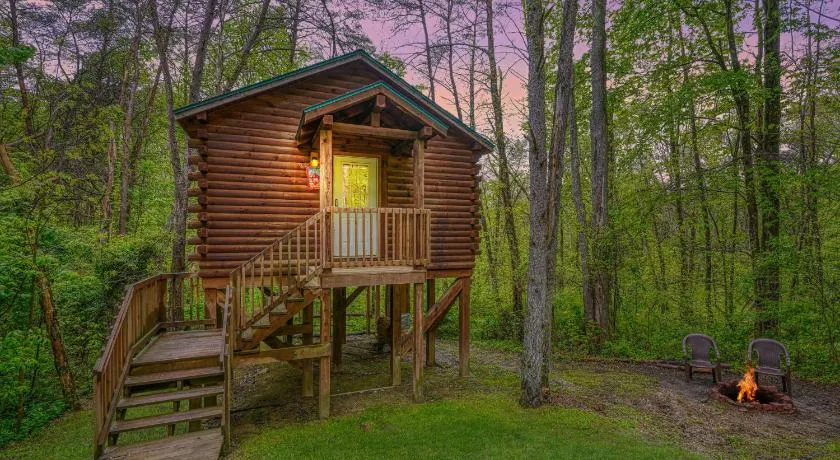 Cabine-Salle de bain privée-Standard-Treetops Cabin - Image 1