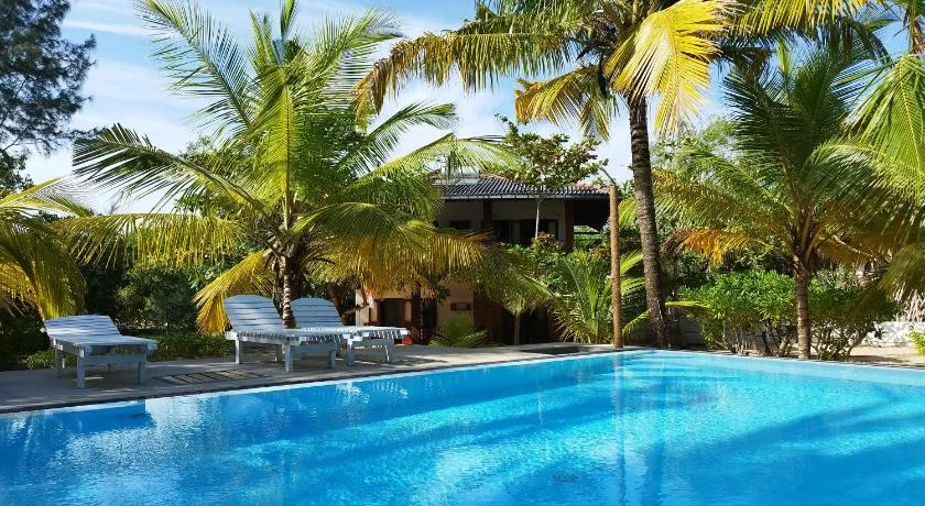 Tropical Garden - Image 1