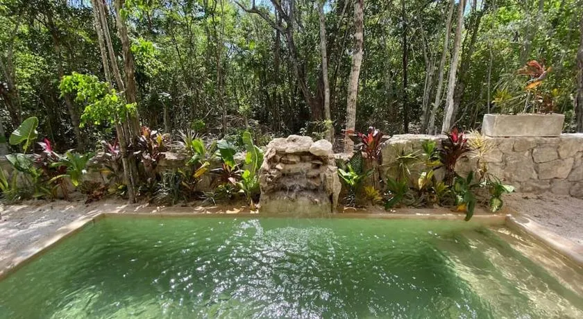 Little Oasis with private pool in the jungle - Image 1