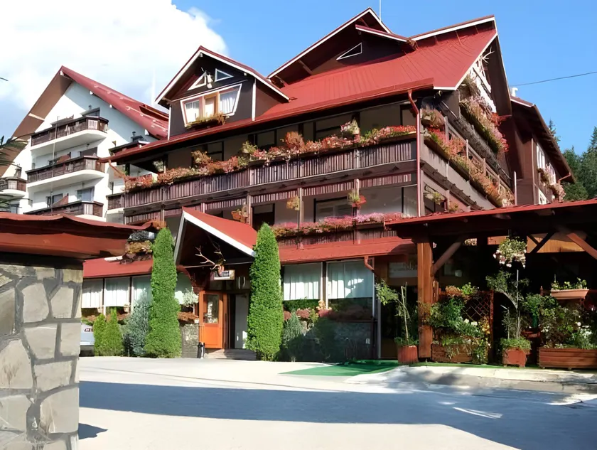 Pension Restaurant Speranta - Image 1