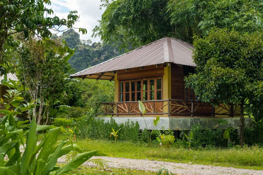 Monkey Mansion - Jungalows & Tours - Image 1