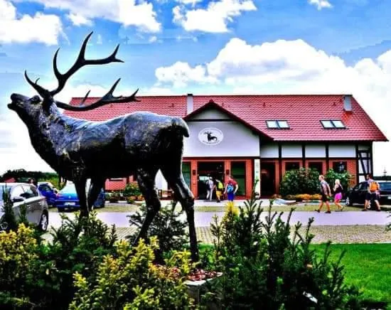 Pensjonat i Restauracja Hubertówka - Image 1