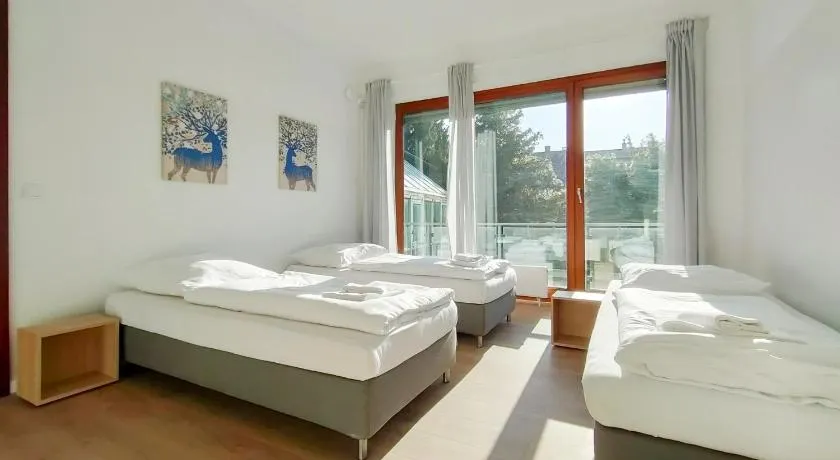 Tolstov Apartments - City Apartments with 2 , 3 and 6 Rooms - 15 Min to Messe DUS and Old Town DUS - Image 1