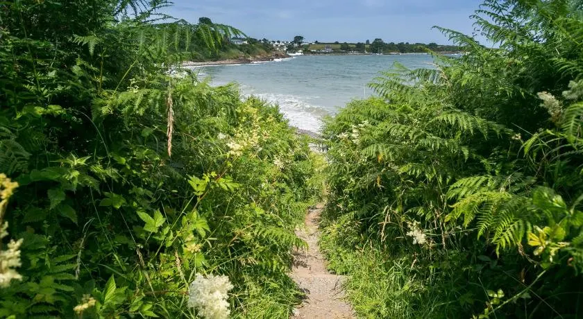 Dinas Cottage - Image 1