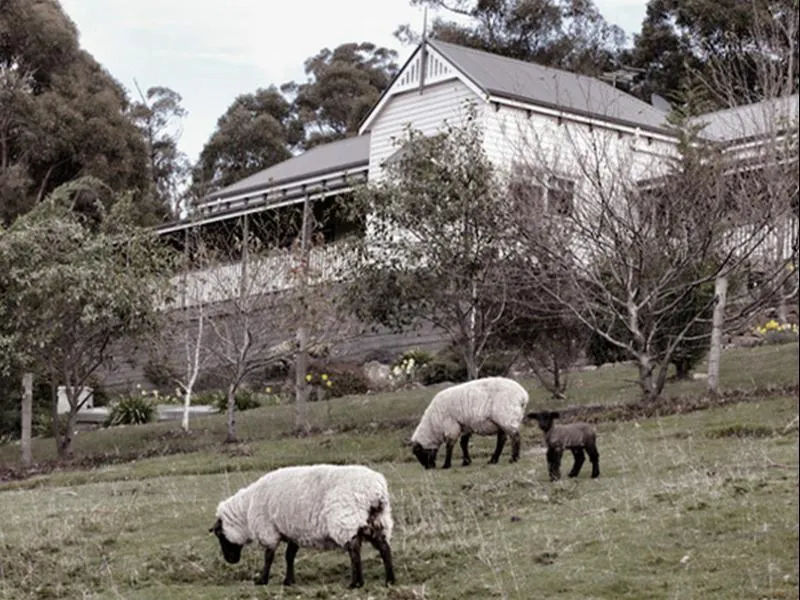 House on the Hill Bed and Breakfast - Image 1