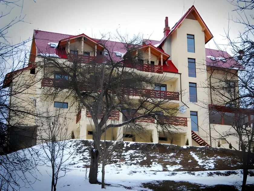 Pensiunea Lostrita - Image 1