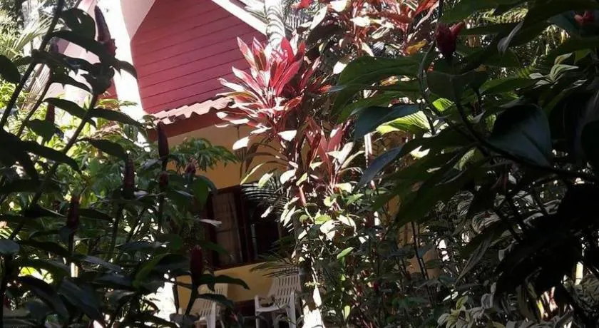 Khao Sok Holiday Resort - Image 1