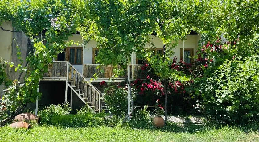 Guest House Aleksandre - Image 1