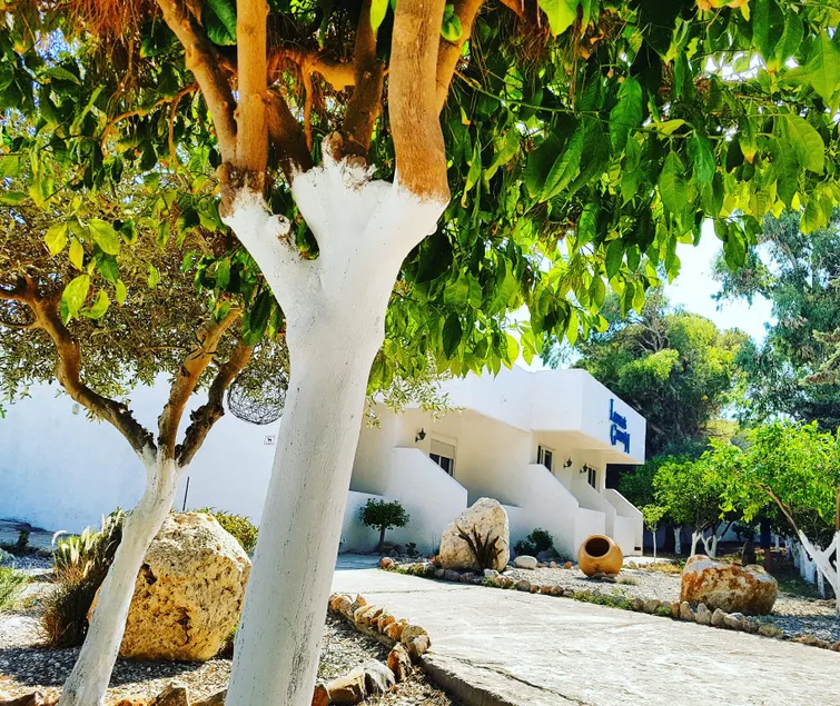 CASA MIKELE by Sarikas - SEA SIDE SUITES and STUDIOS -adults only - Image 1