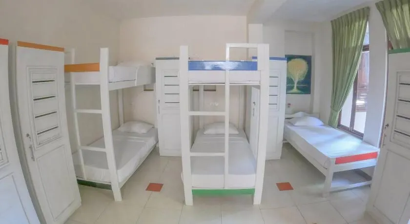 The Youth Hostel - It's a Youth Fame - Image 1