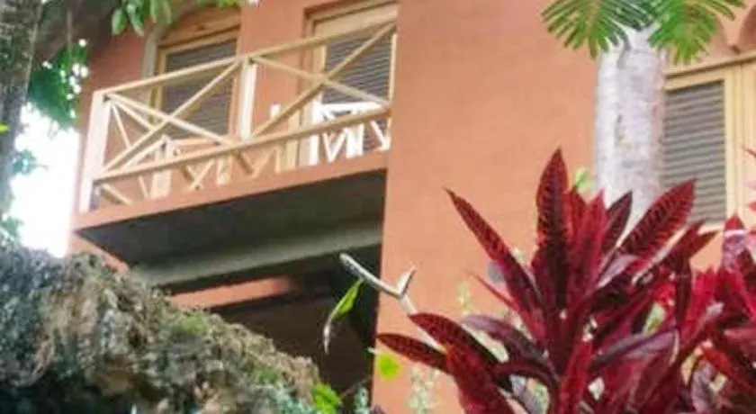 Welcoming House in Las Galeras with Stunning Sea View - Image 1