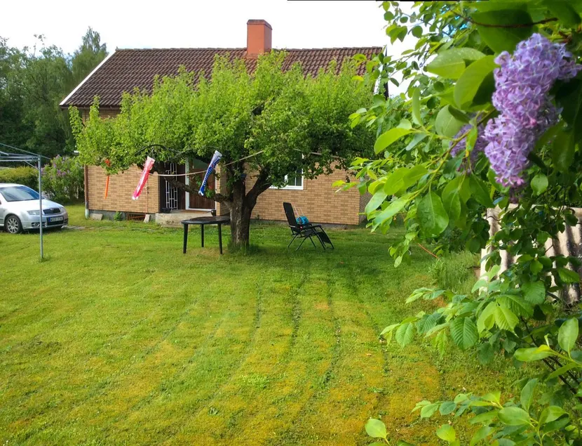 The Cozy Little House - Image 1