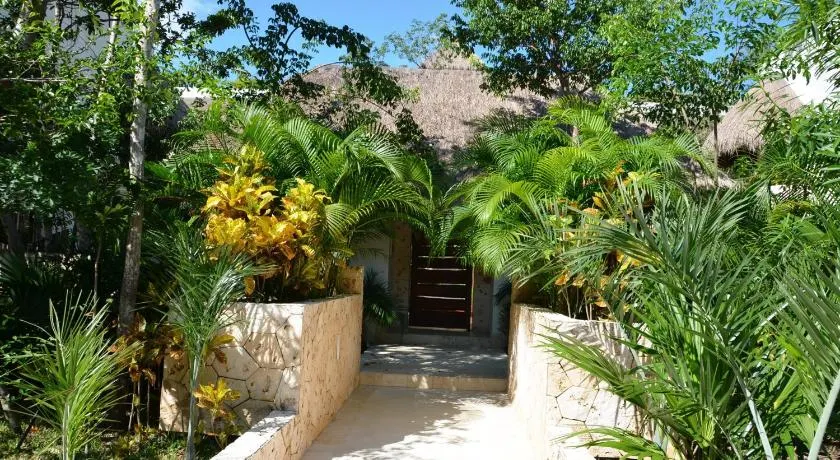 Stay in Tulum! - Image 1