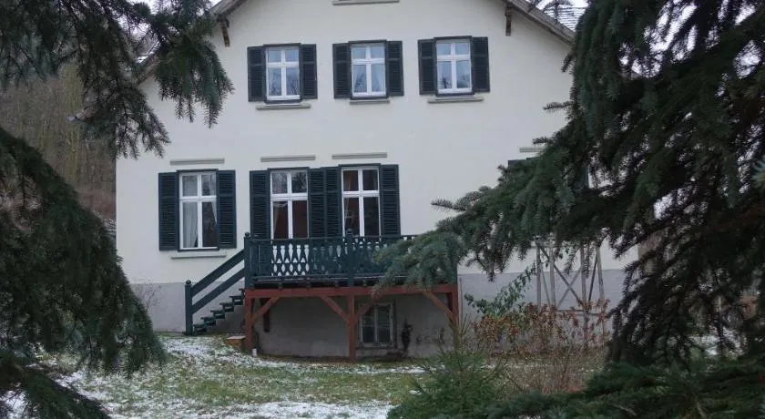 Pension Gräfliche Villa - Image 1