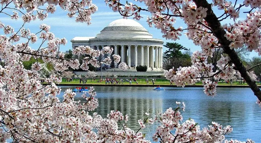 Convenient Studio Apartment in Shepherd Park, DC - Image 1