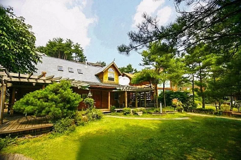 Hoengseong Log House Pension - Image 1