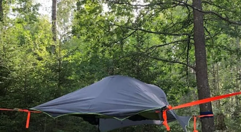 Tree-tent overlooking lake in private woodland - Image 1