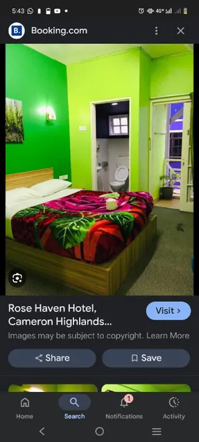 Orchid Haven - Image 1