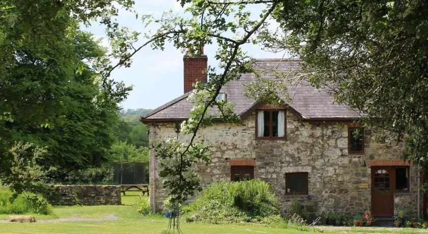 David's Organic Farm Wales - Image 1