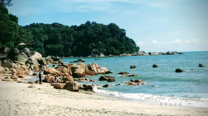 COMEL SEA VIEW HOMESTAY - Image 1