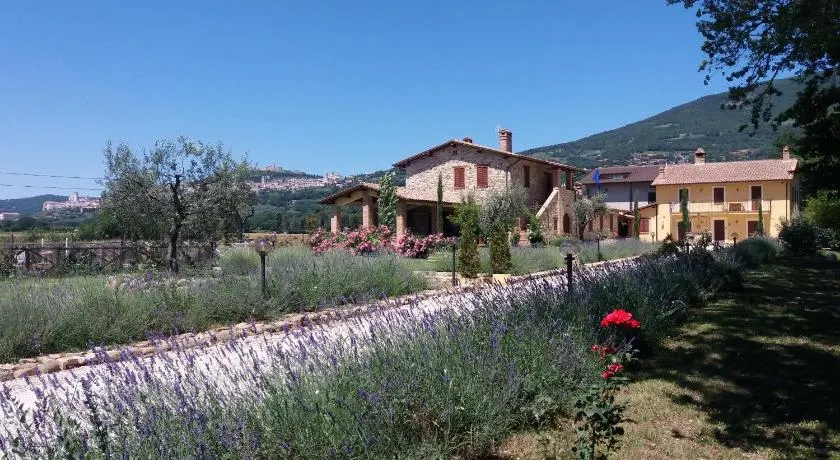 Sulla Strada di San Francesco - Image 1