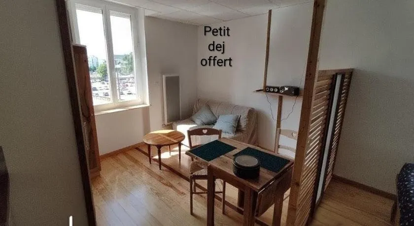 Studio sympa et très calme entre canal et Loire - Image 1