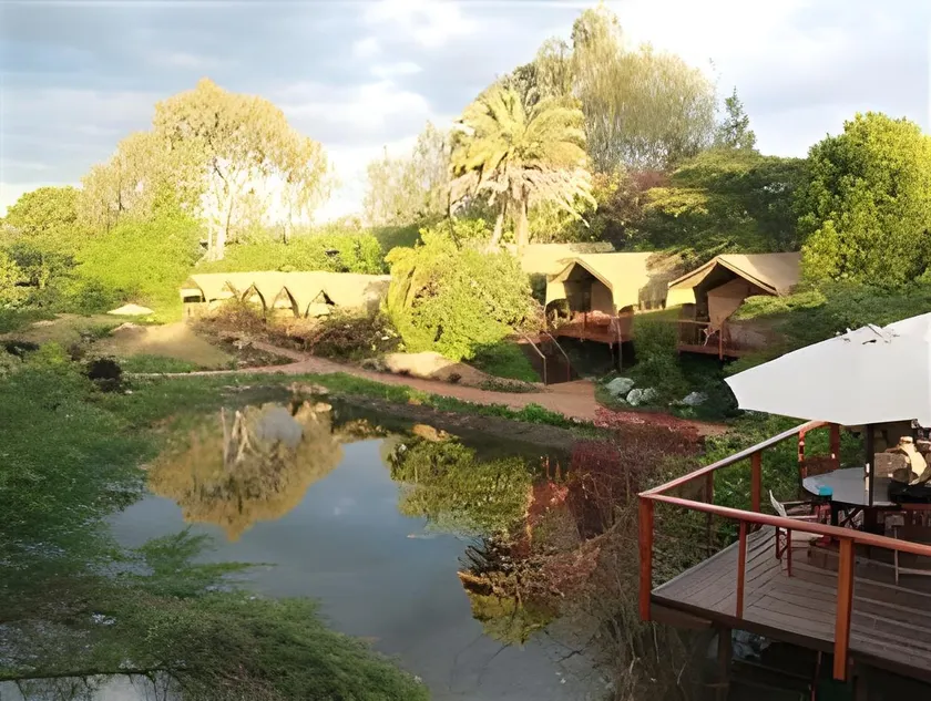 Wildebeest Eco Camp - Image 1