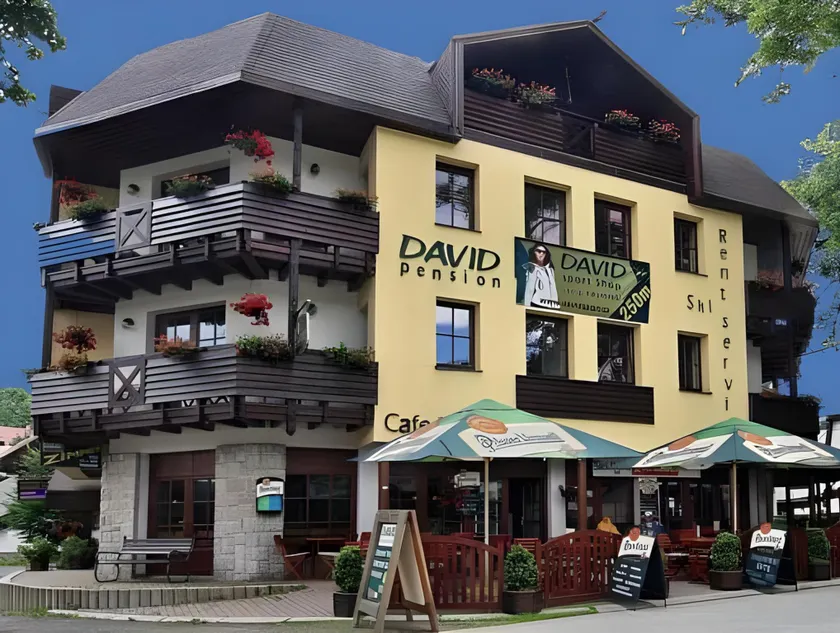 David Wellness Hotel - Image 1