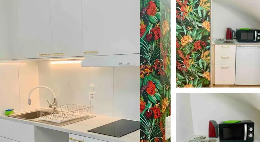 25m2 Studio with Kitchen in Zürich - Image 1