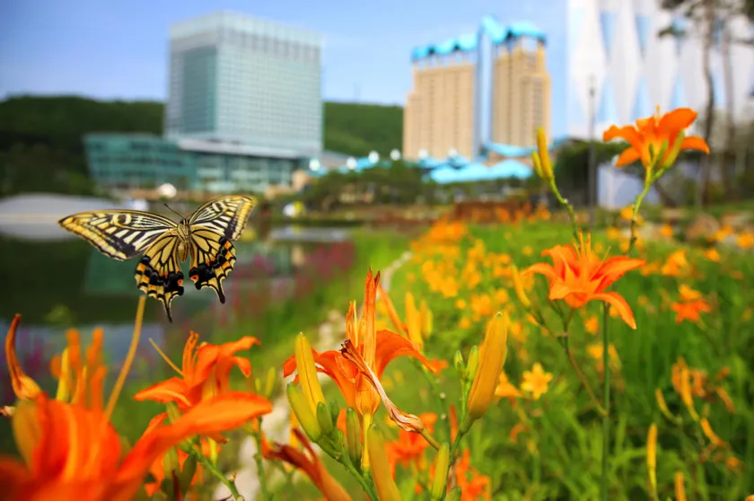 High1 Grand Hotel Main Tower (Kangwonland Hotel) - Image 1