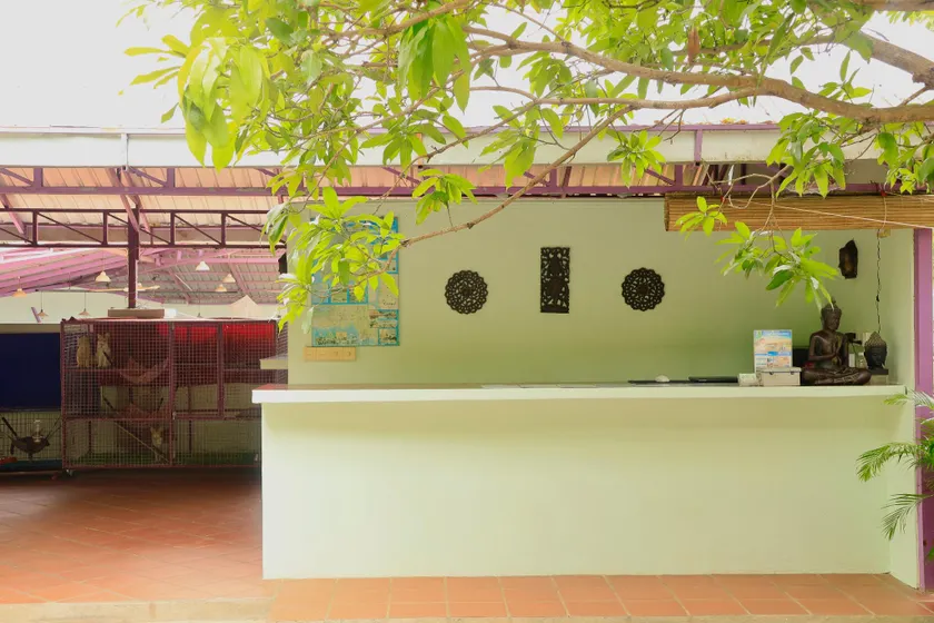 Bird of Paradise Bungalows - Image 1