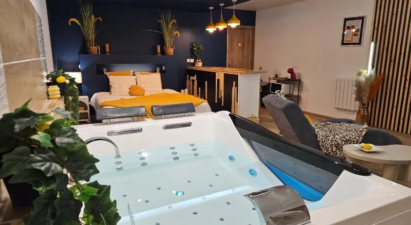 Grand Studio magnifique avec Spa privatif illimite - Image 1