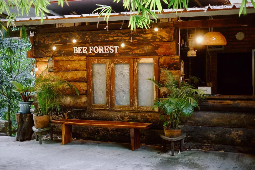 Bee Forest - Image 1