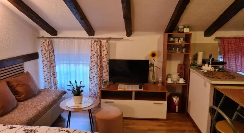 Apartmani Viola - Image 1