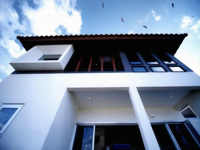 INDIGO GEO HOUSE #Ds1 - Image 1