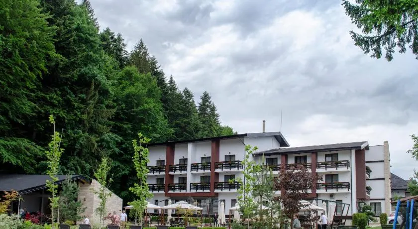 Piatra Pinului Ski & Spa - Image 1