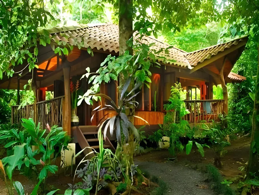 Playa Nicuesa Rainforest Lodge - Image 1