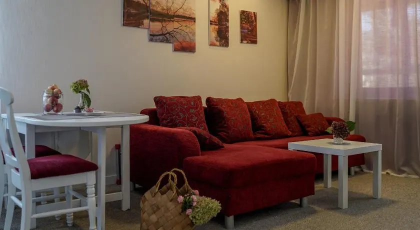 Apartamentai Birštono centre su židiniu - Image 1