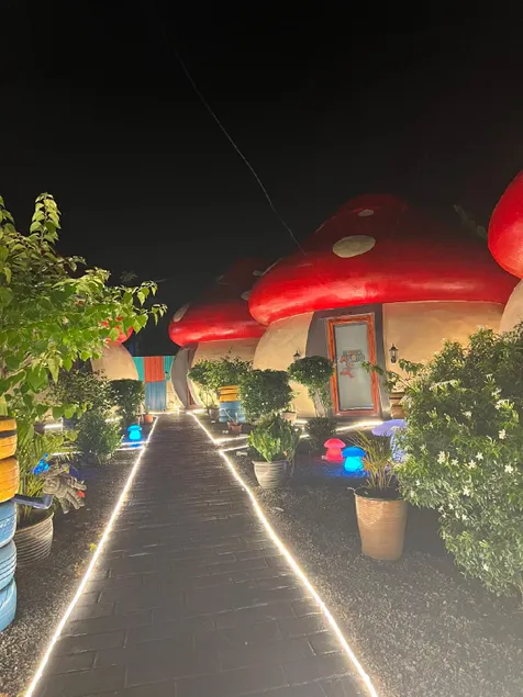 MUSHROOMS INN - Image 1