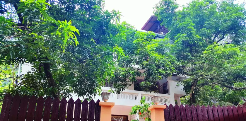 Kevins Bed & Breakfast - Image 1