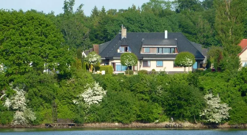 Fischreiher 1 - Image 1