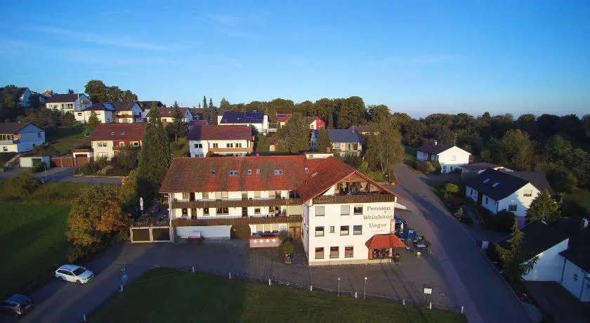 Pension Weinhaus Unger - Image 1