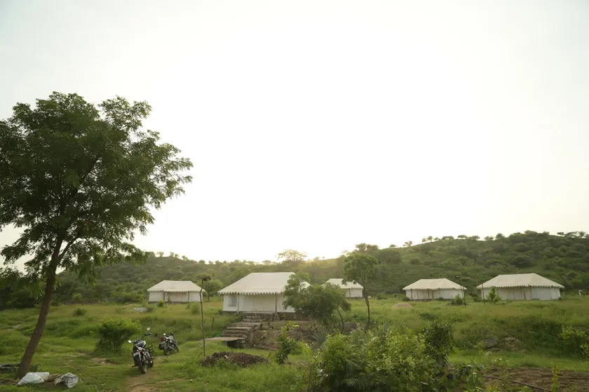 jawai jungle camp - Image 1