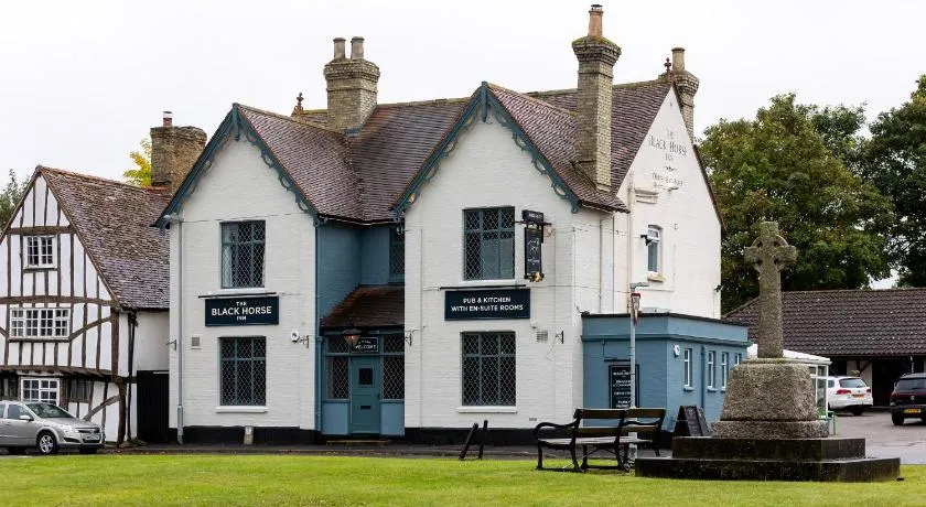 The Black Horse - Image 1