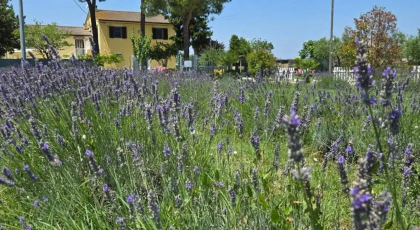 CaSAle B&b - Image 1