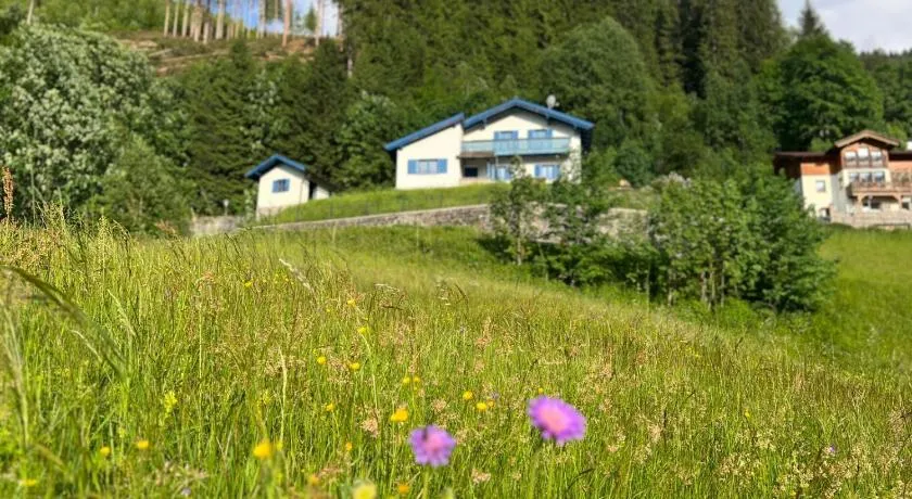 Charming chalet with sauna + views! - Image 1