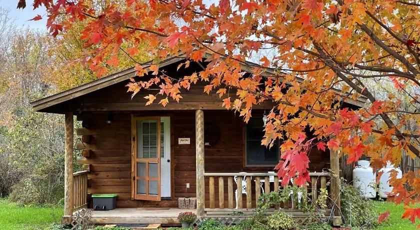 Mill Creek Cabins - Image 1