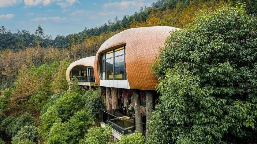 Bird's Nest Hostel - Image 1